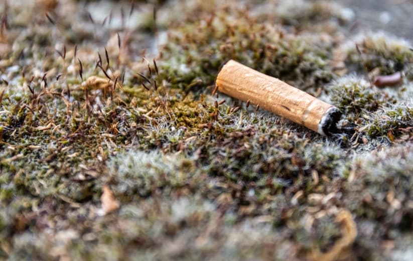 Waste Generation from Combustible Cigarettes